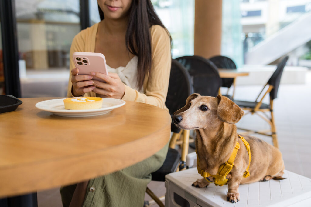 Pet Friendly: Como Aproveitar o Melhor da Gastronomia Sem Deixar Seu Pet de Fora Cada vez mais, os restaurantes estão reconhecendo a importância de oferecer um ambiente inclusivo, não só para seus clientes humanos, mas também para os pets. Quando um restaurante é chamado de pet friendly, isso significa que ele é dedicado a proporcionar um ambiente acolhedor para animais de estimação, permitindo que seus donos desfrutem de uma refeição agradável enquanto seus pets estão ao seu lado. Isso significa mais do que apenas permitir animais no espaço – trata-se de criar um ambiente seguro e confortável para eles, com espaços exclusivos, cardápios especiais e até serviços adicionais, como água fresca e petiscos. Os restaurantes que adotam essa abordagem demonstram um forte compromisso com o bem-estar dos animais e com a experiência do cliente. Isso contribui para criar um ambiente acolhedor e familiar, onde tanto os humanos quanto os animais se sentem à vontade, podendo aproveitar juntos momentos de lazer e boa comida. Buenas Carnes & Pasta: O Restaurante Perfeito para Você e Seu Pet O Buenas Carnes & Pasta, localizado em São Bernardo do Campo, é um exemplo claro de como um restaurante pode ser pet friendly sem perder sua qualidade e sofisticação. Ao oferecer um ambiente que mistura culinária ítalo-portenha com a experiência única de um restaurante pet friendly, o Buenas oferece uma combinação perfeita de prazer gastronômico para humanos e seus animais de estimação. O restaurante não só permite que você traga seu pet, como também oferece um cardápio especialmente pensado para eles. Com carnes na parrilla e massas artesanais, o Buenas garante uma refeição de altíssimo nível, enquanto seu pet pode também desfrutar de uma experiência gastronômica de qualidade. Além disso, o restaurante é projetado para que você e seu animal se sintam confortáveis e bem-vindos, com áreas específicas para garantir o conforto de todos. Esse tipo de ambiente pet friendly tem se tornado cada vez mais desejado por clientes que não querem deixar seus animais em casa, mas sim desfrutar da companhia deles enquanto aproveitam uma refeição. No Buenas, pets de todos os tamanhos são bem-vindos, e eles têm todo o espaço necessário para relaxar enquanto seus donos saboreiam pratos incríveis. Onde Levar Seu Cachorro em São Bernardo: Opções e Dicas São Bernardo do Campo oferece diversas opções de restaurantes para quem deseja levar seu pet para fora de casa. No entanto, o Buenas Carnes & Pasta se destaca por sua oferta completa de serviços e infraestrutura que permitem aos donos de animais aproveitar a gastronomia com conforto e praticidade. Aqui estão algumas dicas para escolher o restaurante ideal para levar seu pet: Verifique o ambiente: O restaurante oferece um espaço tranquilo e seguro para os animais? Isso inclui áreas com sombra e espaço suficiente para que os cães fiquem confortáveis. Certifique-se de que o local é pet friendly: O restaurante permite a entrada de cães em todas as áreas ou há restrições? Restaurantes pet friendly de verdade sempre têm espaços abertos ou áreas designadas onde os pets podem se movimentar livremente. Considere a experiência completa: Além de ser pet friendly, o restaurante oferece petiscos ou um cardápio especial para o seu animal? Alguns restaurantes oferecem petiscos ou até refeições completas para os pets, tornando a experiência ainda mais especial. Verifique a qualidade do atendimento: O restaurante está preparado para lidar com a presença de animais? O atendimento para os donos e seus pets deve ser de qualidade, com um staff capacitado para receber e cuidar dos animais de maneira respeitosa. Esses cuidados garantem que você e seu pet aproveitem o momento juntos, com muito conforto e qualidade. No Buenas, a experiência gastronômica não é apenas para os humanos, mas para toda a família, incluindo os animais de estimação. Gastronomia e Pets: Como Criar uma Experiência Gastronômica Completa Para muitos, sair para um jantar significa mais do que apenas comer – é uma experiência completa. E quando se trata de restaurantes pet friendly, essa experiência se estende também ao animal de estimação. O Buenas entende essa dinâmica e proporciona um atendimento de excelência tanto para seus clientes humanos quanto para seus pets, tornando cada visita uma verdadeira celebração de convivência e prazer. A combinação de carnes na parrilla e massas artesanais, com um espaço confortável para os pets, eleva a experiência gastronômica a um novo nível. Além disso, o restaurante adota práticas que garantem a segurança e o conforto dos animais, assegurando que todos, humanos e pets, desfrutem da experiência ao máximo. A preocupação com o bem-estar dos animais se reflete no ambiente acolhedor e nas opções de alimentação tanto para os donos quanto para os seus pets. A experiência de estar no Buenas vai além de uma simples refeição, ela é sobre criar momentos inesquecíveis e prazerosos, tanto para os humanos quanto para seus animais de estimação. A Carta de Vinhos e o Toque Especial para Apreciadores de Boa Culinária e Pets O Buenas Carnes & Pasta também sabe como harmonizar o melhor da gastronomia com uma carta de vinhos de alta qualidade. Para quem deseja desfrutar de um bom vinho argentino junto com um corte de carne suculento, o restaurante oferece uma seleção de vinhos nacionais e importados, proporcionando a harmonização perfeita. Se você deseja tornar o momento ainda mais especial, pode saborear uma de nossas opções de vinhos enquanto seu pet relaxa em um ambiente confortável. Além disso, o ambiente pet friendly do Buenas permite que você e seu amigo de quatro patas compartilhem momentos agradáveis enquanto desfrutam de uma gastronomia única. Para os amantes de vinhos e carne, essa combinação de vinhos de alta qualidade com carnes suculentas e um ambiente acolhedor para os pets é uma experiência verdadeiramente incomparável. O Atendimento de Excelência no Buenas: Por Que Seu Pet Merece o Melhor Quando se trata de restaurantes pet friendly, o atendimento é crucial para garantir que tanto os donos quanto seus pets se sintam bem-vindos e confortáveis. O Buenas Carnes & Pasta se destaca pelo atendimento de excelência, proporcionando uma experiência personalizada para todos os clientes. O restaurante oferece uma área exclusiva para pets, com um ambiente tranquilo e bem preparado para acomodar os animais de estimação. A interação com os pets também é cuidadosamente monitorada, garantindo que os donos possam aproveitar sua refeição sem preocupações, enquanto seus animais estão bem atendidos. Essa atenção ao cliente e ao pet é o que torna o Buenas um restaurante único, onde o compromisso com a qualidade se reflete em cada detalhe, desde o atendimento até a experiência gastronômica. Conclusão: A Experiência Gastronômica Que Seu Pet Merece Se você está buscando uma experiência gastronômica única e deseja levar seu pet para compartilhar esses momentos especiais, o Buenas Carnes & Pasta é a escolha ideal. Com um ambiente pet friendly acolhedor, um cardápio delicioso e atendimento de alta qualidade, você e seu pet poderão desfrutar de uma refeição excepcional. Não perca a oportunidade de viver essa experiência única. Reserve sua mesa agora e venha vivenciar a combinação perfeita entre gastronomia e a companhia do seu melhor amigo no Buenas Carnes & Pasta. Nós garantimos que será uma experiência inesquecível, para você e seu pet. Links Externos: Pet Friendly Guide: Como Escolher Restaurantes para Pets Benefícios de Levar Seu Pet para Restaurantes Links Internos: Descubra nosso Menu Eventos e Celebrações no Buenas